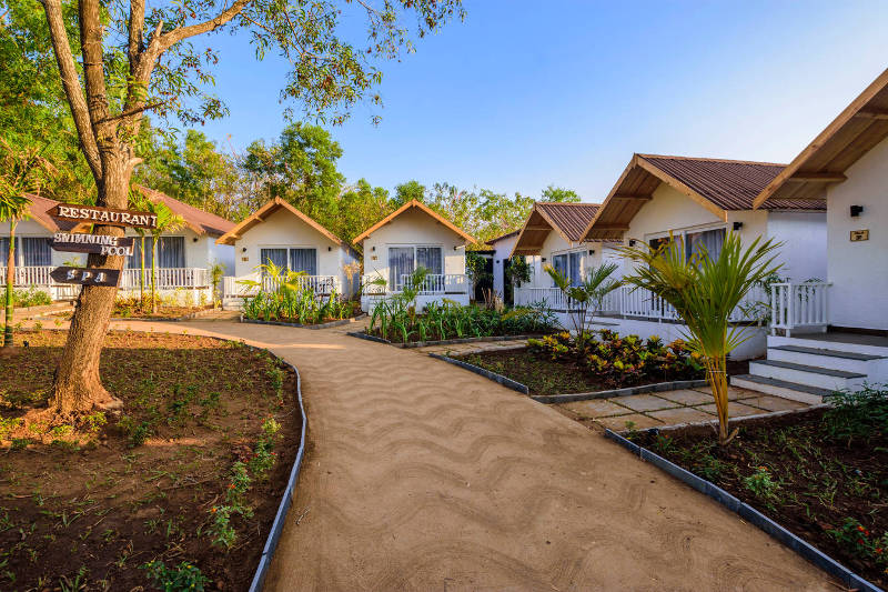 White Wood Resort