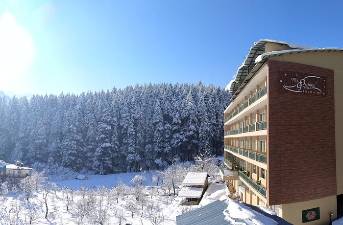 The Orchard Greens Resort, Manali